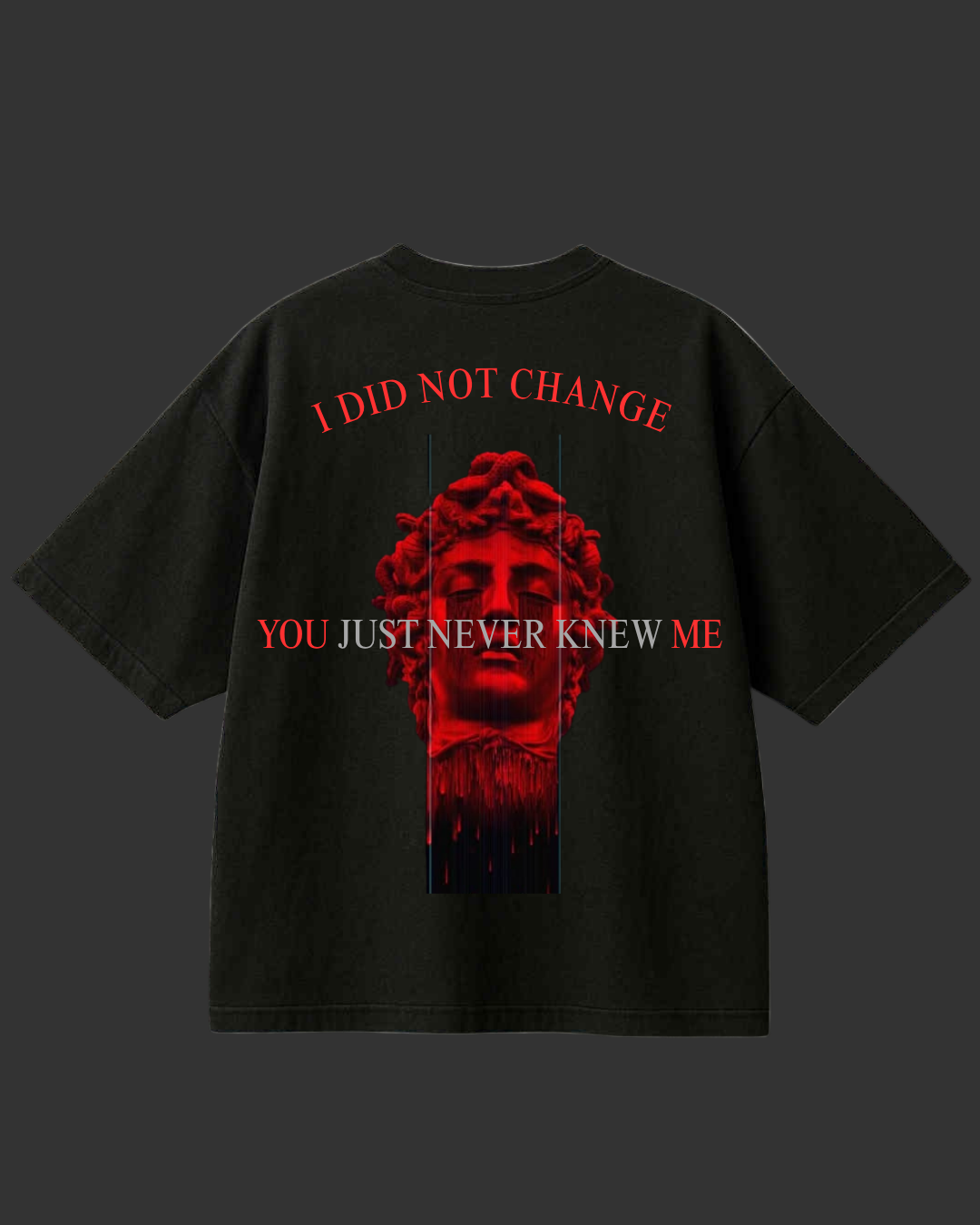 I DID NOT CHANGE Тениска